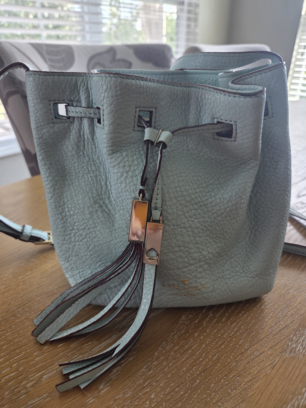 kate spade Pebbled Leather Mint Drawstring Crossbody with Tassels
